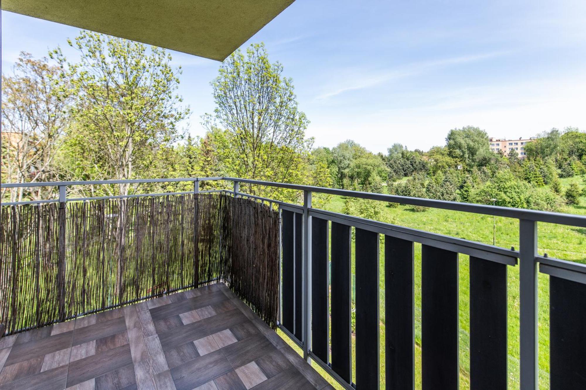 Large Luxury Apartment Wieliczka Eksteriør billede